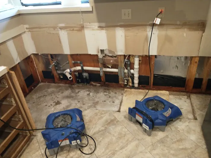 Speedy Restorations Picture 4