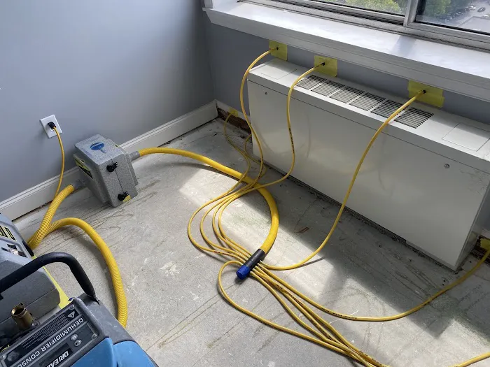 Meridian Restoration Picture 7