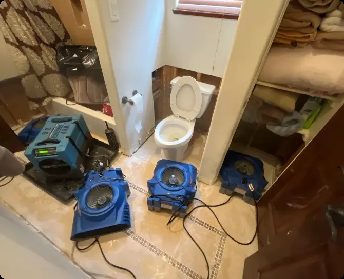 Pro Rainbow Water Damage Restoration Picture 4