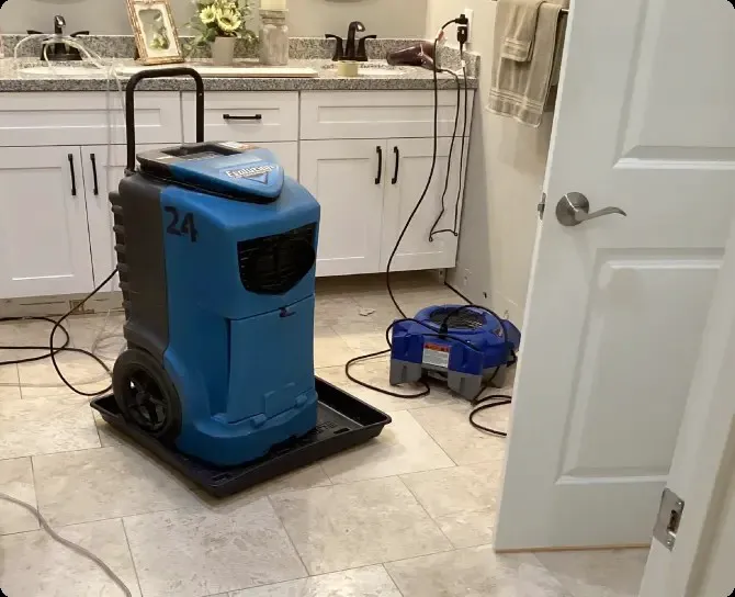 Pro Rainbow Water Damage Restoration Picture 5