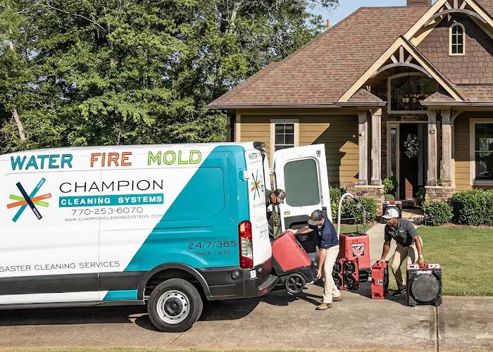 Champion Cleaning Systems Picture 3