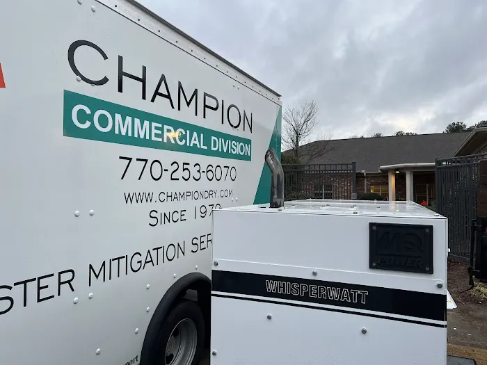 Champion Cleaning Systems Picture 8