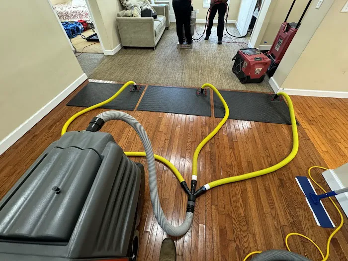 Reets Drying Academy Picture 3