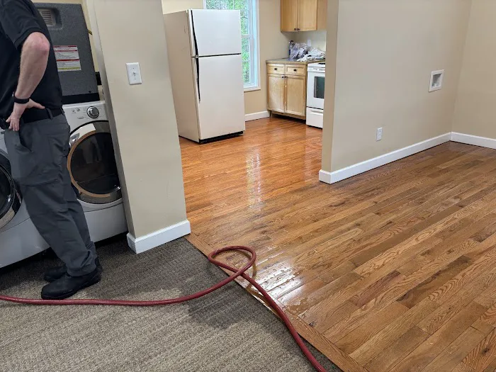 Reets Drying Academy Picture 6