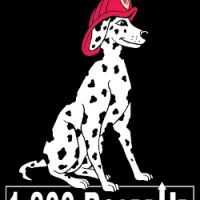 1-800-BOARDUP of South Atlanta ico