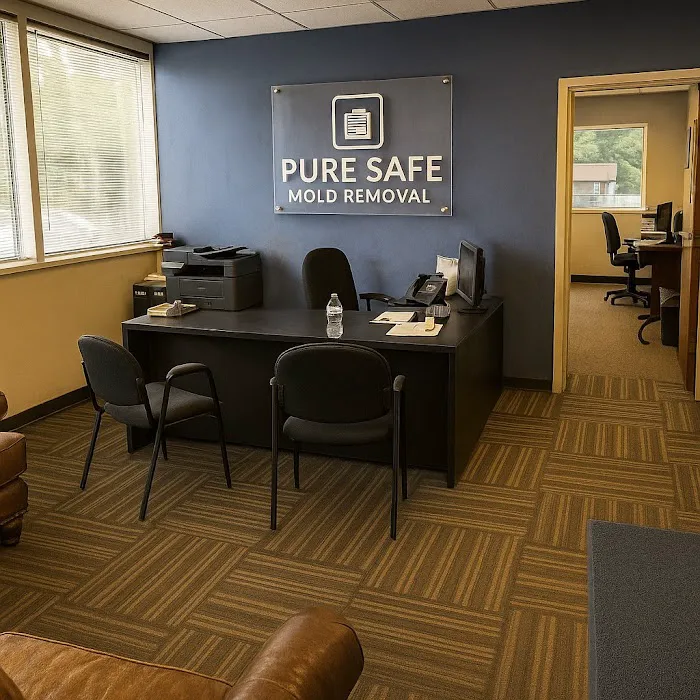 Pure Safe Mold Removal Stockbridge, GA Picture 1