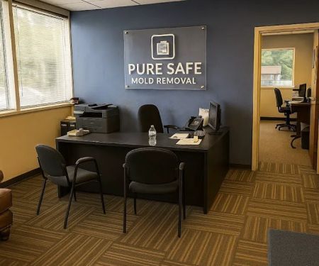 Pure Safe Mold Removal Stockbridge, GA