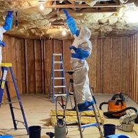 Mold Experts of Atlanta LLC ico