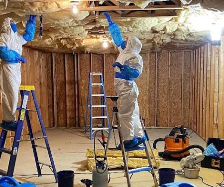 Mold Experts of Atlanta LLC