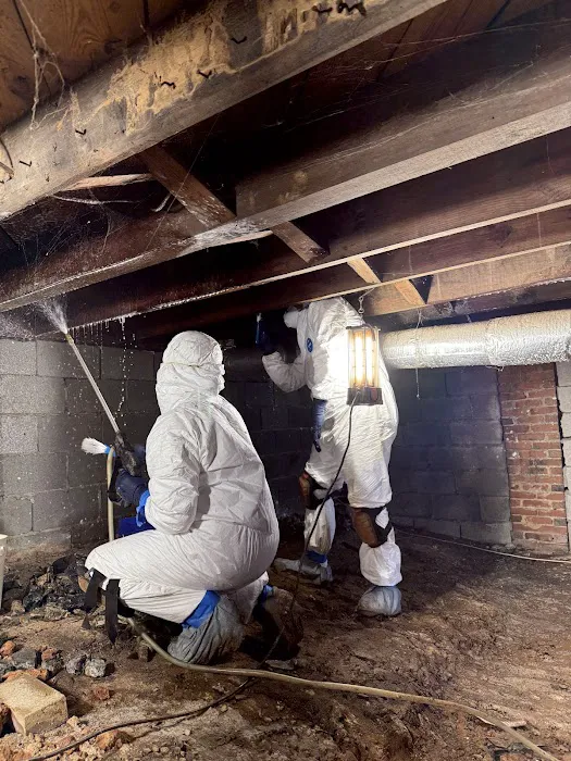 Mold Experts of Atlanta LLC Picture 8