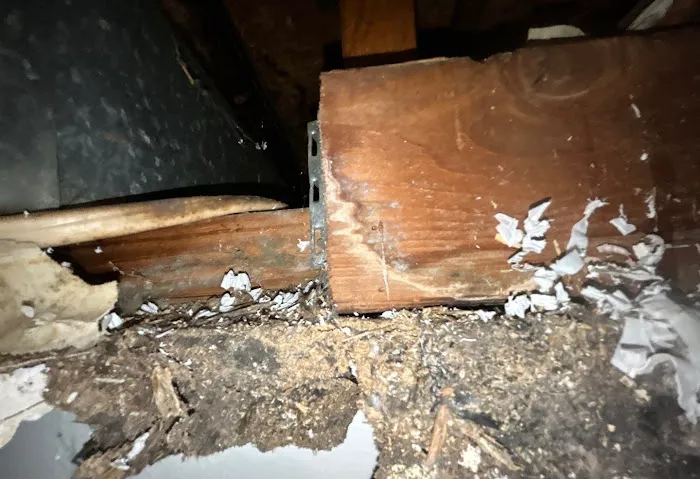 AdvantaClean of Marietta Picture 2