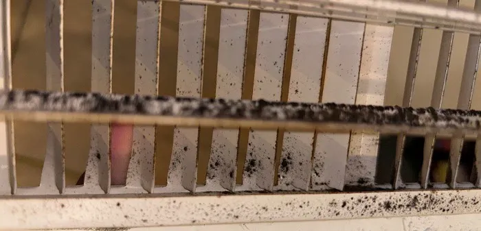 AdvantaClean of Marietta Picture 4