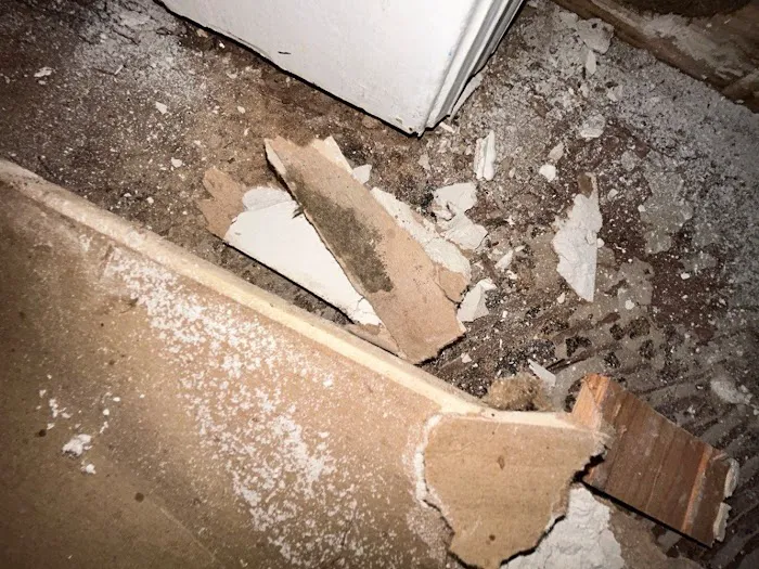 AdvantaClean of Marietta Picture 6