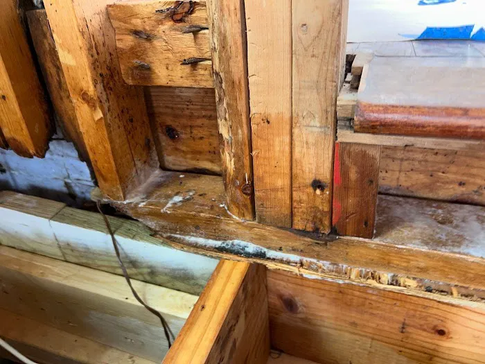 AdvantaClean of Marietta Picture 8