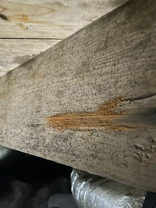 MoldStar Remediation Picture 5