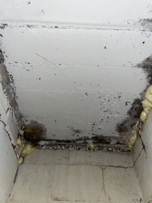 MoldStar Remediation Picture 2