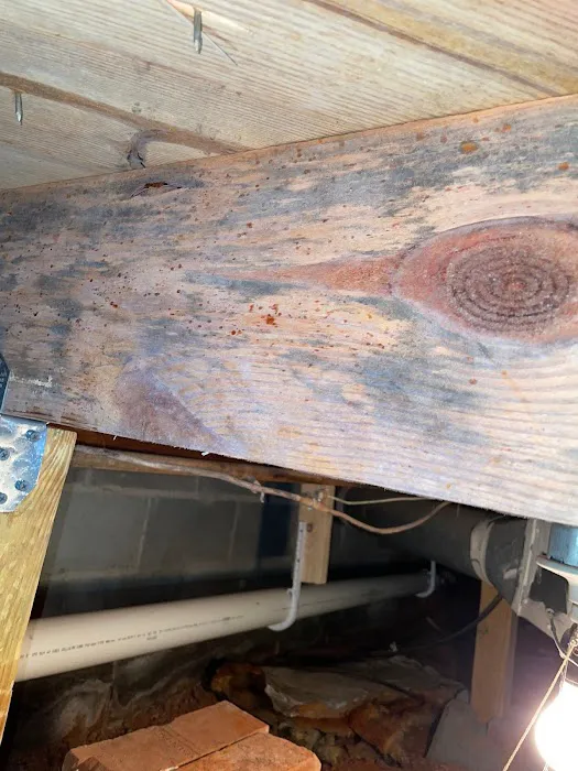 MoldStar Remediation Picture 4