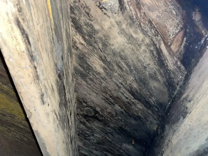MoldStar Remediation Picture 3