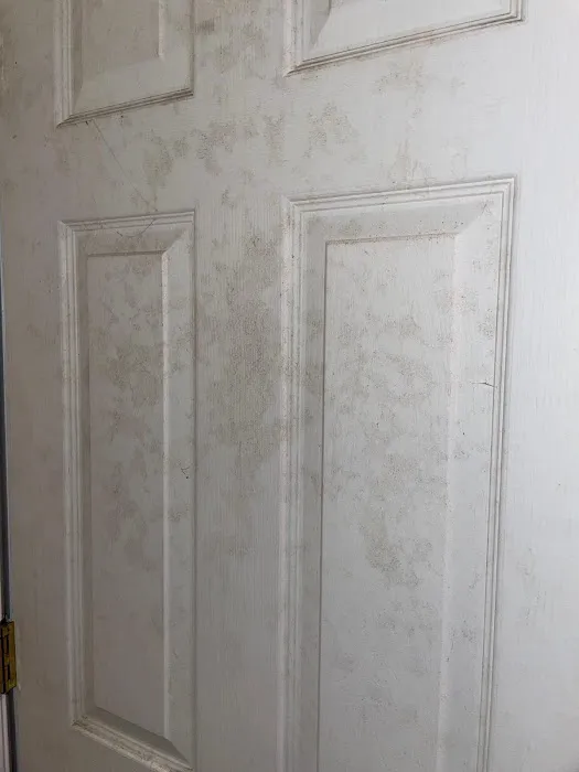 MoldStar Remediation Picture 8