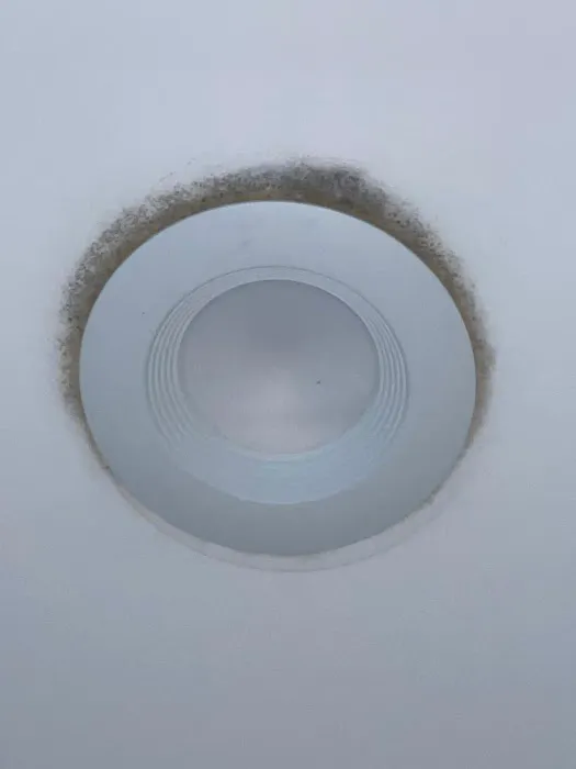 MoldStar Remediation Picture 7