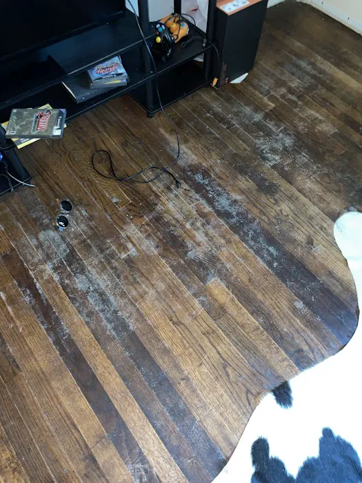 MoldStar Remediation Picture 6