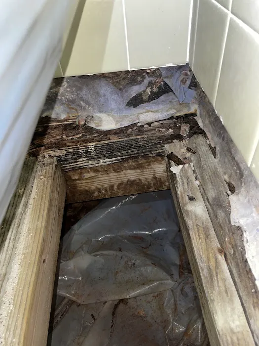 MoldStar Remediation Picture 9