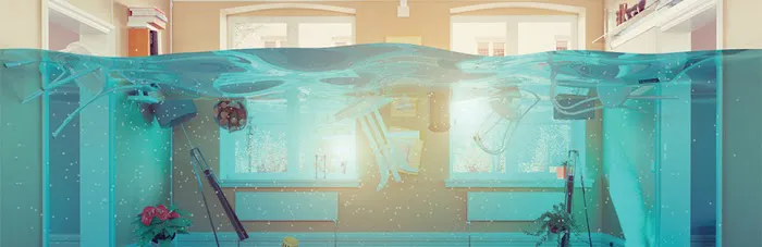 CJS Company Picture 2