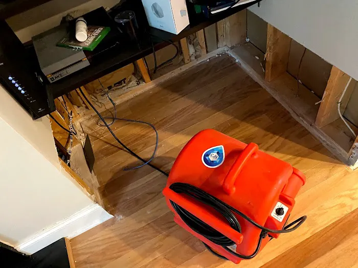 CJS Company Picture 6