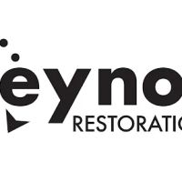 Reynolds Restoration Group ico