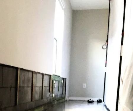 The Mold Pros of Georgia