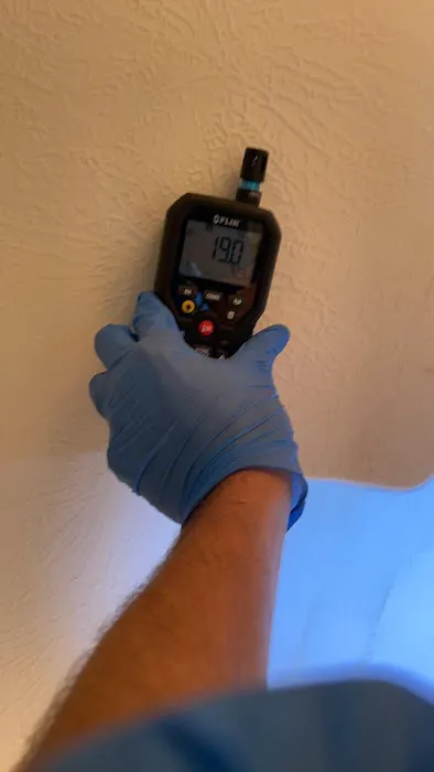 The Mold Pros of Georgia Picture 7