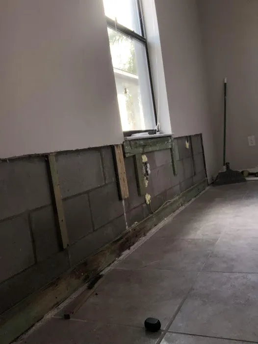 The Mold Pros of Georgia Picture 6