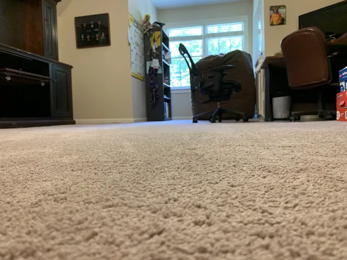 Kiwi Services Picture 6