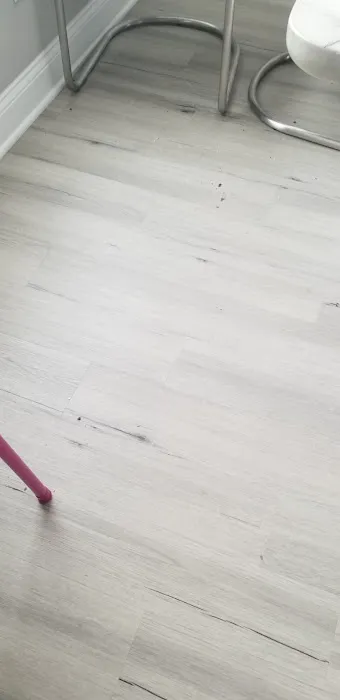 Kiwi Services Picture 10