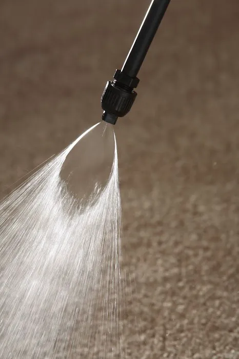 Kiwi Services Picture 9