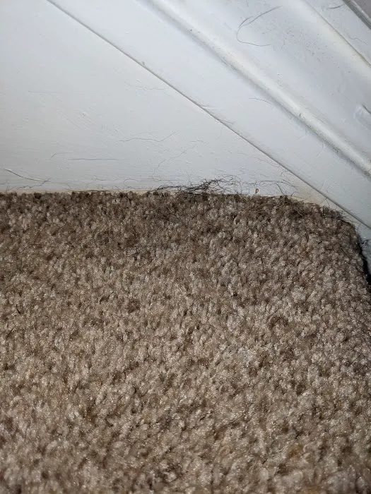 Kiwi Services Picture 8