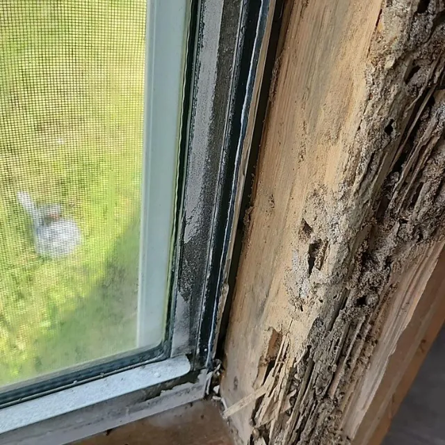 TerraPro Group Picture 8