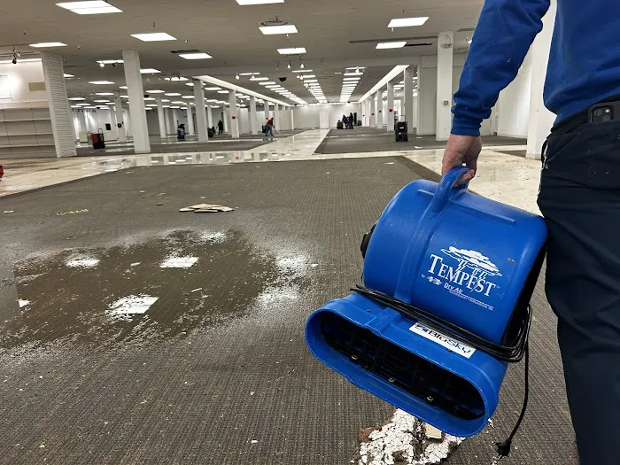 BluSky Restoration Contractors Picture 10