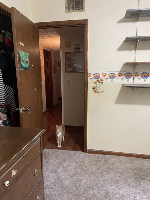 Paul Davis Restoration of North Atlanta Picture 7