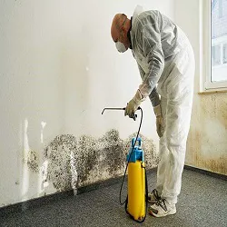 Metro Water Damage Restoration Roswell Picture 1