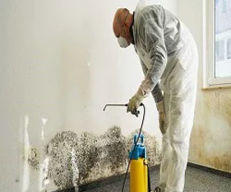 Metro Water Damage Restoration Roswell