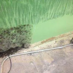 3 Lions Restoration Picture 2