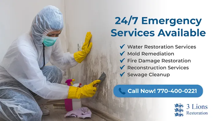 3 Lions Restoration Picture 6