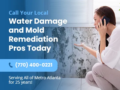 3 Lions Restoration Picture 9