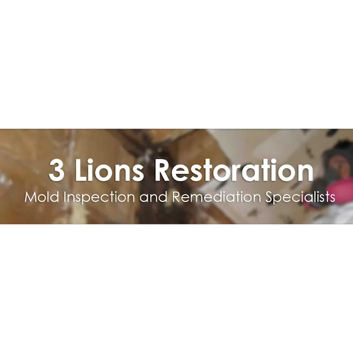3 Lions Restoration Picture 8