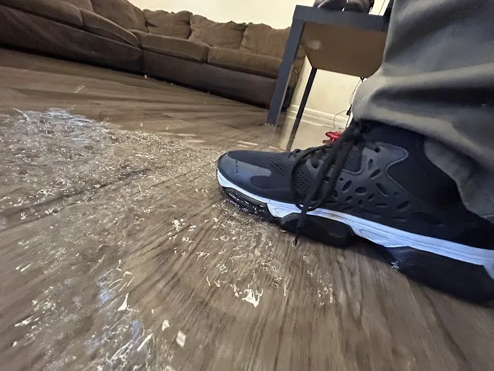 The Honest Guys Water, Fire, & Mold Damage Picture 8