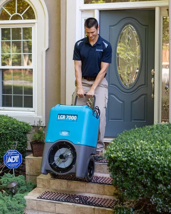 Duraclean Cleaning Services & Water Damage Restoration Picture 2