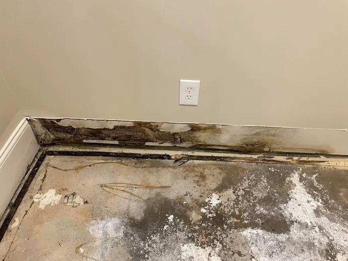 Emergency Restoration Solutions Picture 2