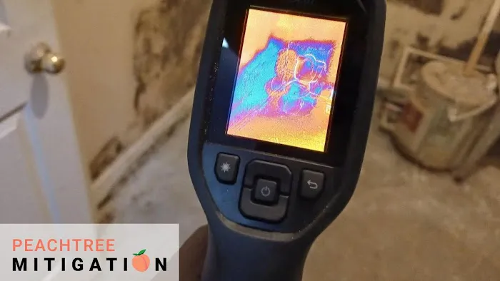 Peachtree Mitigation Picture 3