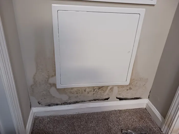 Peachtree Mitigation Picture 2